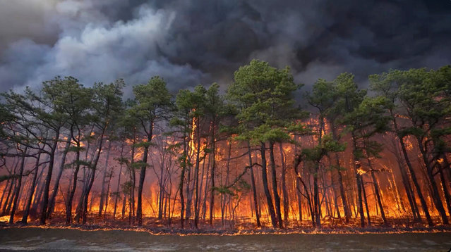 Smoke fills the sky from a wildfire in Lacey Townships, New Jersey, US on April 23, 2025. (Photo by Nam Y. Huh/AP Photo)