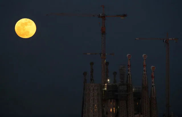 A full moon “Super Blue Blood Moon” rises behind Sagrada Familia Basilica in Barcelona, Spain on January 31, 2018. (Photo by Albert Gea/Reuters)