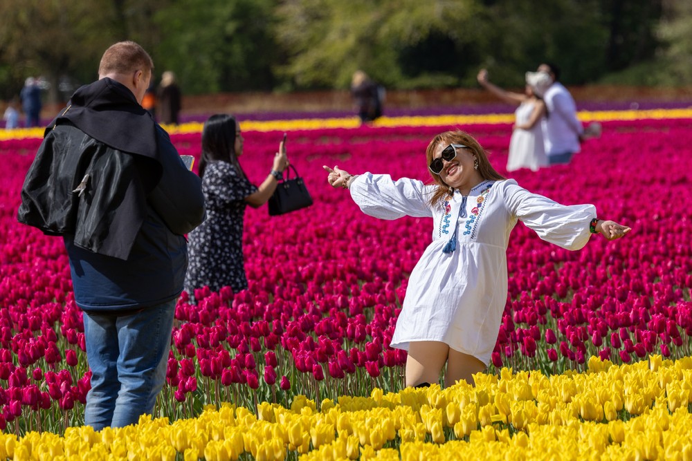 Some Photos: In Flowers