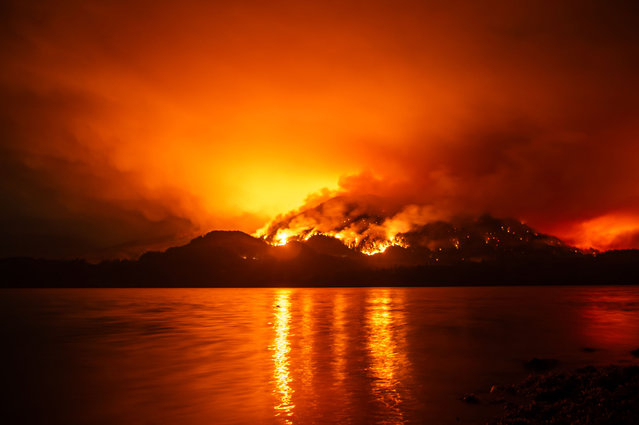 A wildfire burns on Mount Underwood near Port Alberni, on Vancouver Island, British Columbia, on August 12, 2025. The BC Wildfire Service reports the blaze has expanded to roughly 8.6 square kilometres (3.3 square miles), prompting an evacuation order from campsites. (Photo by Colby Rex O'Neill/AFP Photo)