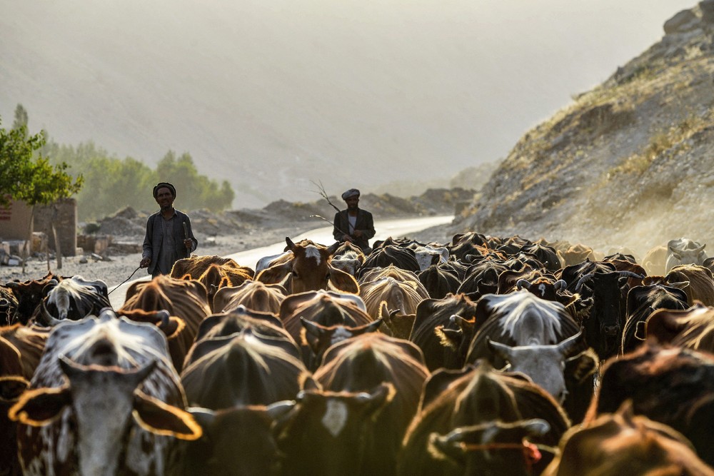 A Look at Life in Afghanistan