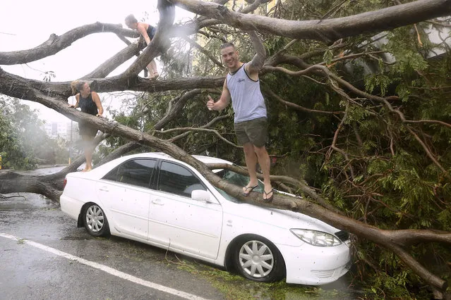 Tourists climb on a tree that was uprooted due to winds from Tropical Cyclone Marcus and landed on a car in the Northen Territory capital city of Darwin in Australia, March 17, 2018. (Photo by Glenn Campbell/Reuters/AAP)