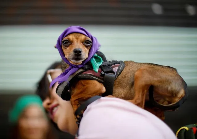 A person carries a dog as people take part in a protest to mark International Women's Day in Mexico City, Mexico on March 8, 2023. (Photo by Raquel Cunha/Reuters)