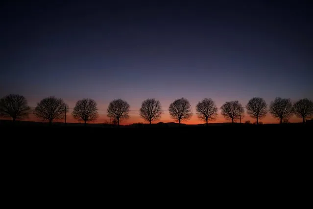 Lined trees are pictured in a field after sunset near Vic, Spain on March 15, 2023. (Photo by Nacho Doce/Reuters)