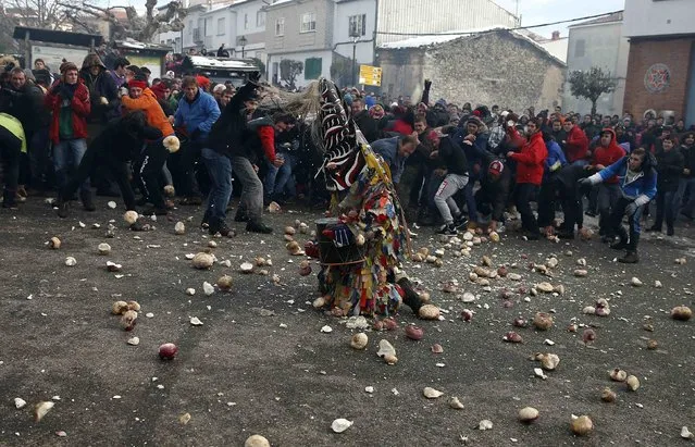 Revellers throw turnips at the kneeling Jarramplas as he makes his way through the streets beating his drum during the Jarramplas traditional festival in Piornal, southwestern Spain, January 20, 2015. (Photo by Sergio Perez/Reuters)