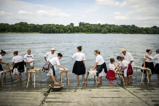 Participants wearing folk costumes of the Croatian ethnic group called Sokac or Sokci wash clothes the traditional way in the River Danube, during a local Sokac festival in Mohacs, southern Hungary, near the Croatian border on 07 July 2018. The riverside washing of laundry was once done on ridged wooden washboards with bar soaps or ash and washing bats for slapping the clothes to help remove the stains. (Photo by Tamas Soki/EPA/EFE)
