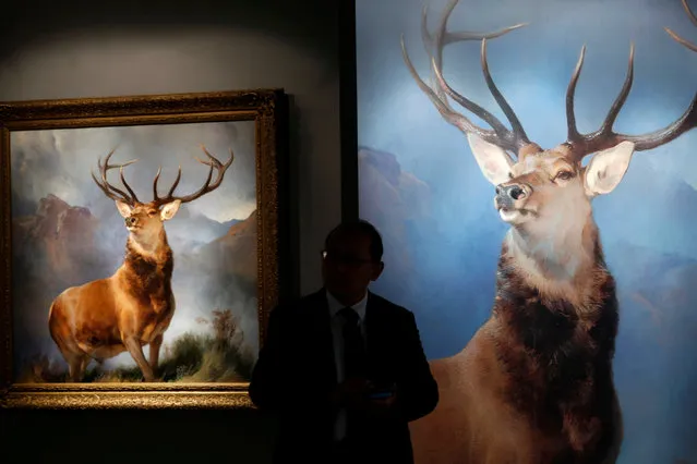 A man stands between an original and a printout of “The Monarch of the Glen” by Edwin Henry Landseer, during Christie's Autumn sales preview in Hong Kong, China November 23, 2016. (Photo by Bobby Yip/Reuters)