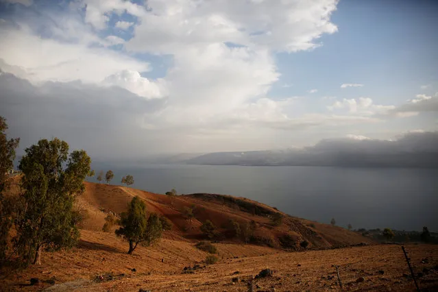 The Sea of Galilee is seen near Tiberias, Israel December 1, 2016. (Photo by Ronen Zvulun/Reuters)