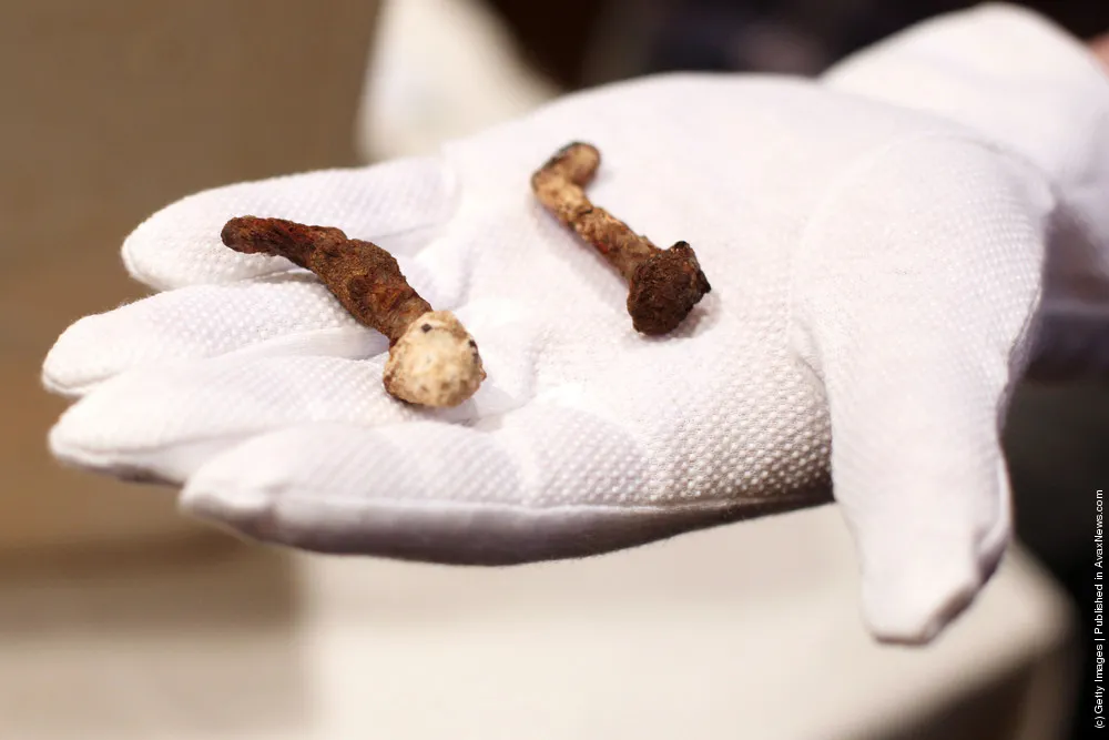 Film Maker Claims Discovery of Nails Used In Crucifixion Of Jesus Christ