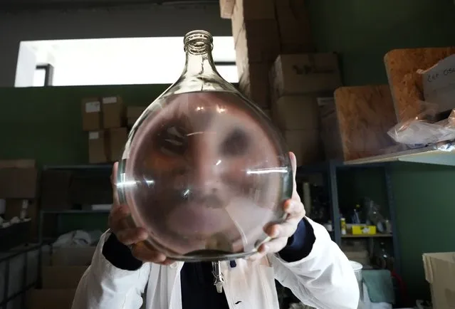 A worker holds a glass container with brandy, inside the distillery in Belgrade, Serbia, Friday, November 11, 2022. The U.N.'s culture and education organization is set later this month to review Serbia's bid to include “social practices and knowledge related to the preparation and use of the traditional plum spirit – sljivovica” on the list of world intangible cultural heritage. (Photo by Darko Vojinovic/AP Photo)