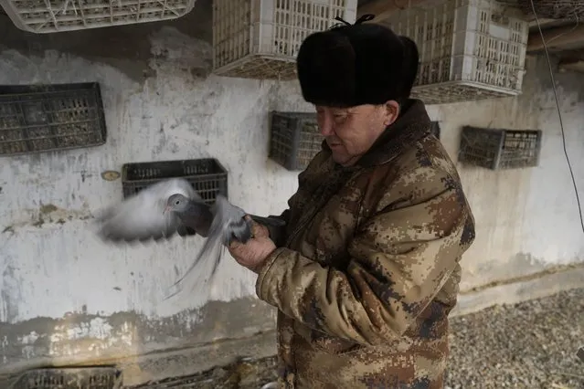 Nurahun Osman catches a pigeon as he shows journalists the damage done to his coop during the earthquake in Yamansu township of Uchturpan county, Aksu prefecture in western China's Xinjiang region, Wednesday, January 24, 2024. As aftershocks continued to rock western China on Wednesday, thousands of people were staying in tents and other shelters, lighting bonfires to fend off the freezing weather. (Photo by Ng Han Guan/AP Photo)