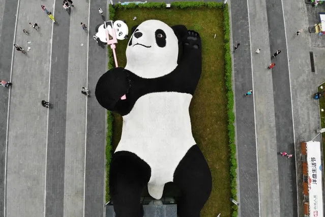 Aerial view of tourists visiting the 'Selfie Panda' sculpture by Dutch artist Florentijn Hofman at the Yangtianwo square during Chinese National Day Holiday on October 4, 2021 in Dujiangyan City, Chengdu City, Sichuan Province of China. (Photo by Zhang Lang/China News Service via Getty Images)