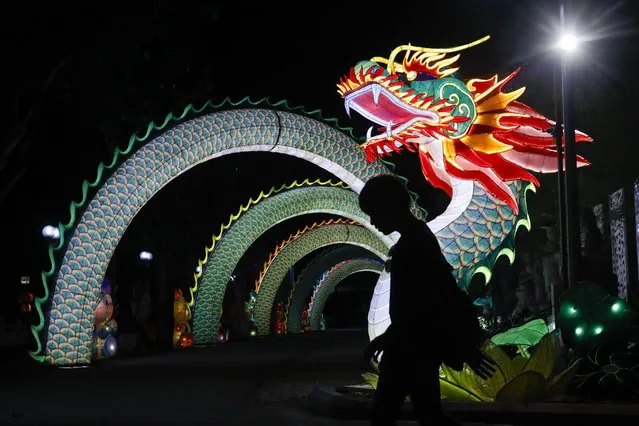 A visitor is silhouetted while passing by the statue of a dragon for the upcoming Chinese New Year celebrations in Banting, Malaysia, 26 January 2024. The Chinese Lunar New Year, also called the 'Spring Festival,' will fall on 10 February 2024, marking the beginning of the Year of the Dragon. (Photo by Fazry Ismail/EPA)