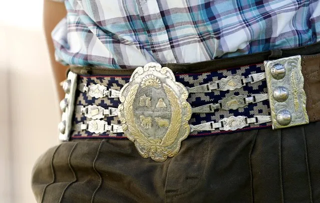 A gaucho wears a belt of silver an gold with a the coat of arms of Uruguay during Creole week celebrations in Montevideo, March 23, 2016. (Photo by Andres Stapff/Reuters)