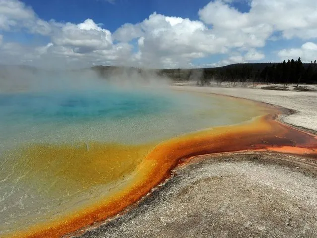 View of the “Sunset Lake” hot spring with it's unique colors caused by brown, orange and yellow algae-like bacteria called Thermophiles, that thrive in the cooling water turning the vivid aqua-blues to a murkier greenish brown, in the Yellowstone National Park, Wyoming in 2011. (Photo by Mark Ralston/AFP Photo)