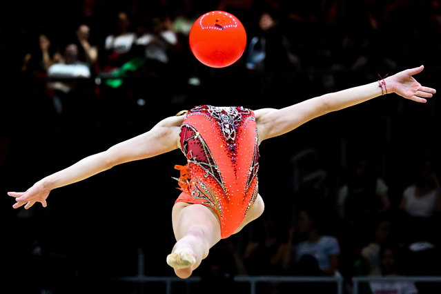 Stiliana Nikolova of Bulgaria performs her ball exercise in the final of the individual competition of the 40th European Rhytmic Gymanstics Championships in Budapest, Hungary, 25 May 2024. (Photo by Tibor Illyes/EPA)