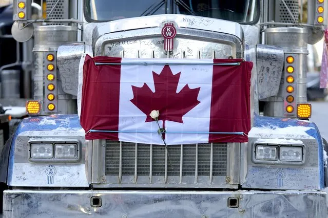 A white rose is secured under a bungee cord strapping a Canadian flag to the hood of a semi-trailer truck, on the 18th day of a protest against COVID-19 measures that has grown into a broader anti-government protest, in Ottawa, on Valentine's Day, Monday, February 14, 2022. (Photo by Justin Tang/The Canadian Press via AP Photo)