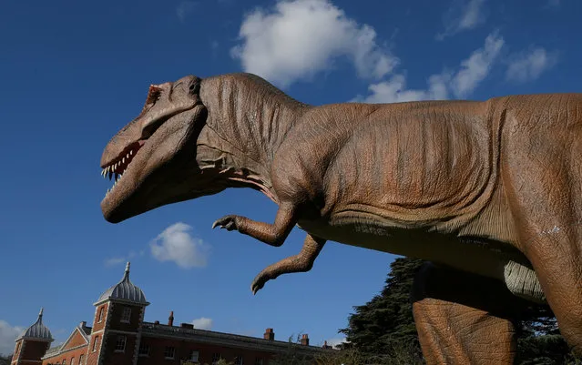 An animatronic life-size dinosaur is seen ahead of an interactive exhibition, Jurassic Kingdom, at Osterley Park in west London, Britain, March 31, 2017. (Photo by Toby Melville/Reuters)
