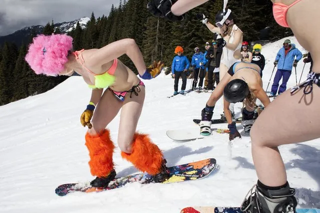Snowboarders leave the starting line during the Bikini & Board Shorts Downhill at Crystal Mountain, a ski resort near Enumclaw, Washington April 19, 2014. Skiers and snowboarders competed for a chance to win one of four season's passes. (Photo by David Ryder/Reuters)