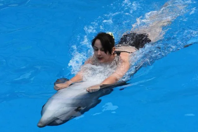 A trained dolphin interacts with a girl during a dolphin therapy session in a dolphinarium in the Crimean resort town of Alushta, on April 24, 2014. (Photo by Yuriy Lashov/AFP Photo)