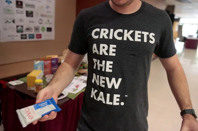 An attendee wears a “Crickets are the new kale” t-shirt during the “Eating Insects Detroit: Exploring the Culture of Insects as Food and Feed” conference at Wayne State University in Detroit, Michigan May 26, 2016. (Photo by Rebecca Cook/Reuters)