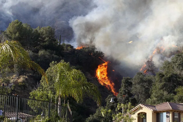 A wildfire burns around homes built near a hilltop in Azusa, Calif., Monday, June 20, 2016. (Photo by Nick Ut/AP Photo)