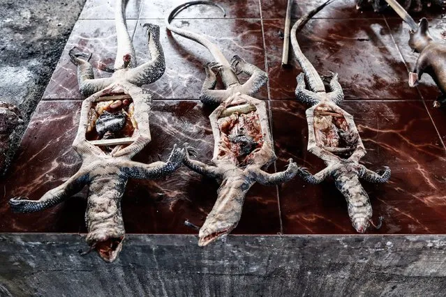 Roasted lizards are displayed for sale at Langowan traditional market on August 9, 2014 in Langowan, North Sulawesi. The Langowan traditional market is famous for selling a variety of extreme food such as dogs, bats, rats, wild boar, and snakes. (Photo by Putu Sayoga/Getty Images)