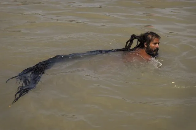 An Indian Sadhu, or Hindu holy man, takes a bath in the Godavari River during Kumbh Mela, or Pitcher Festival in Nasik, India, Saturday, August 29, 2015. (Photo by Tsering Topgyal/AP Photo)