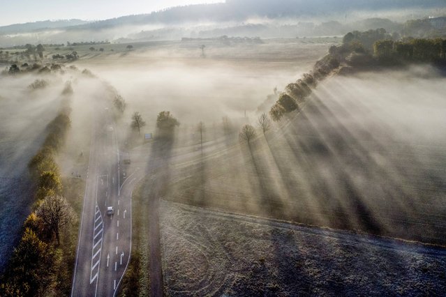 Cars drive on a road in the Taunus region near Frankfurt, Germany, on a foggy Monday, November 4, 2024. (Photo by Michael Probst/AP Photo)