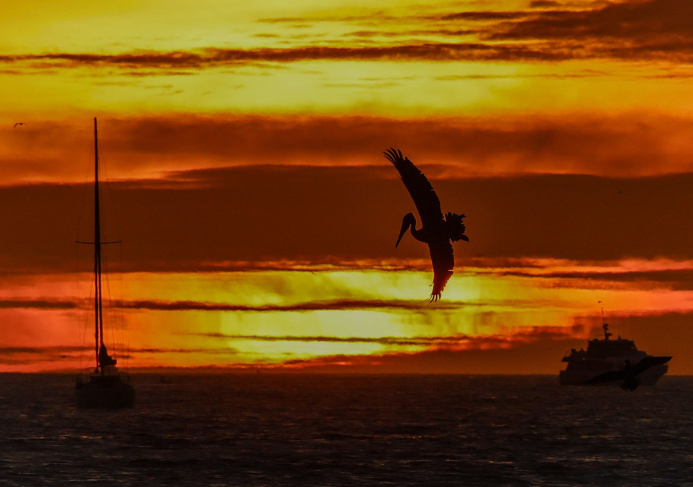 Some Photos: Silhouettes