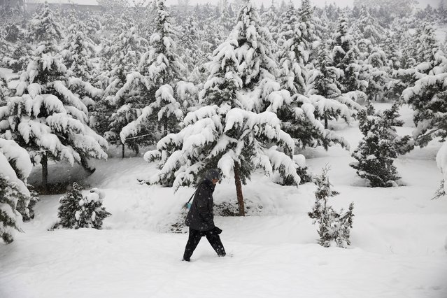 A boy walks near snow-covered trees in Kabul, Afghanistan, Monday, January 6, 2020. (Photo by Rahmat Gul/AP Photo)