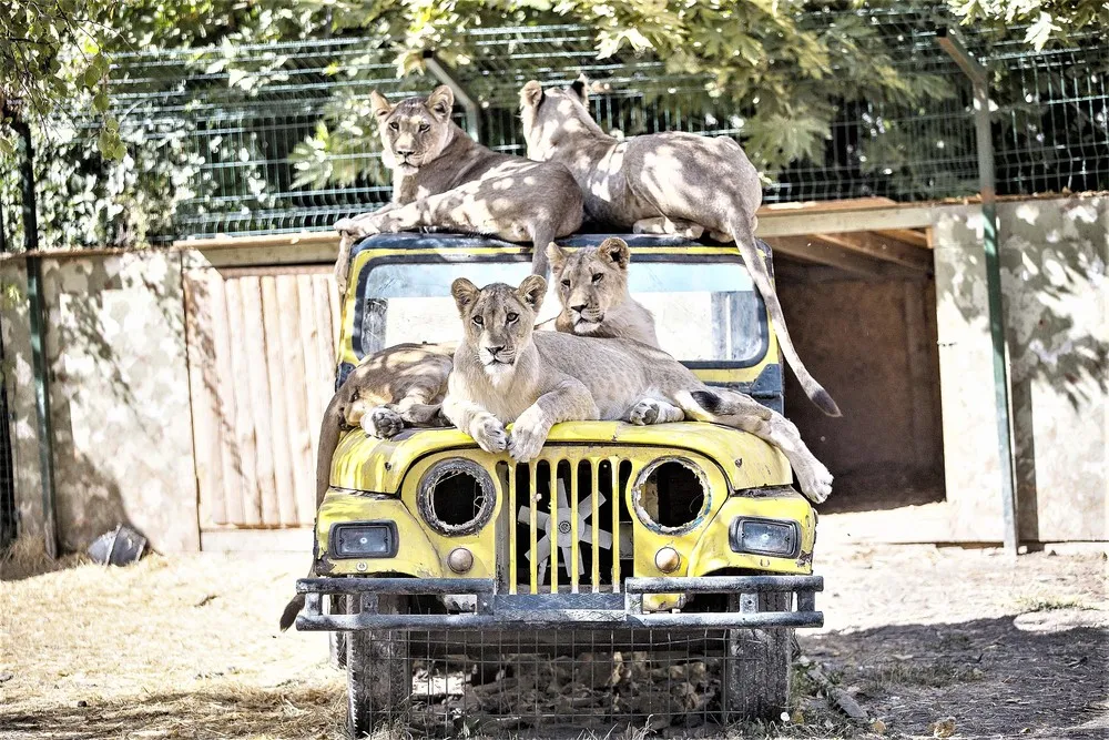 A Look at Life in Turkey