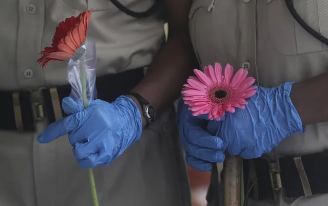 Security officers hold flowers given to them as a gesture of gratitude at the end of a free medical camp in Dharavi, one of Asia's biggest slums, in Mumbai, India, Friday, June 26, 2020. India is the fourth hardest-hit country by the pandemic in the world after the U.S., Russia and Brazil. (Photo by Rafiq Maqbool/AP Photo)