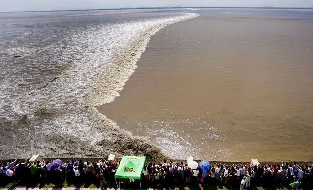 Tourists gather on Qiantang River bank to see the soaring tide in Haining, Zhejiang province, September 27, 2015. (Photo by Reuters/Stringer)