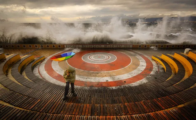 “The Storm”. During I was taking photo with my nephew, the storm came and I caught this beautiful moment. Photo location: Kocaeli, Turkey. (Photo and caption by Aytül Akbaş/National Geographic Photo Contest)