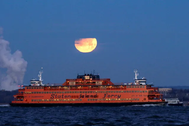 The Super Blue Blood Moon sets behind the Staten Island Ferry, seen from Brooklyn on January 31, 2018. (Photo by Eduardo Munoz/Reuters)