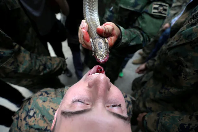 A U.S. Marine drinks the blood of a cobra during a jungle survival exercise as part of the “Cobra Gold 2018” (CG18) joint military exercise, at a military base in Chonburi province, Thailand February 19, 2018. (Photo by Athit Perawongmetha/Reuters)