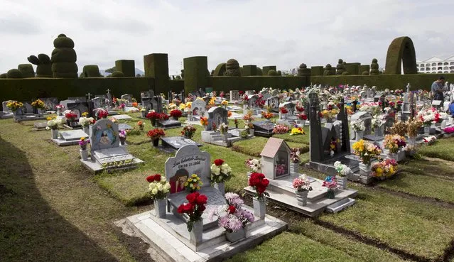 People visit the cemetery during the Day of the Dead in Tulcan, November 2, 2015. (Photo by Guillermo Granja/Reuters)