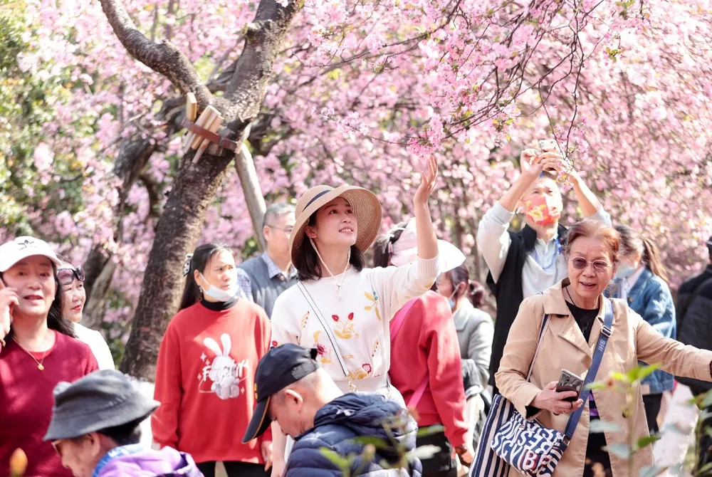 China last Week, Part 2/2