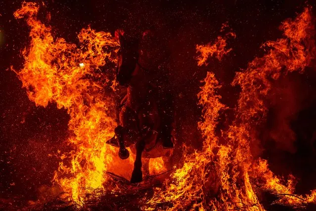 A man rides a horse through a bonfire as part of a ritual in honor of Saint Anthony the Abbot, the patron saint of domestic animals, in San Bartolome de Pinares, Spain, Sunday, January 16, 2022. On the eve of Saint Anthony's Day, dozens ride their horses through the narrow cobblestone streets of the small village of San Bartolome during the “Luminarias”, a tradition that dates back 500 years and is meant to purify the animals with the smoke of the bonfires and protect them for the year to come. (Photo by Manu Fernandez/AP Photo)