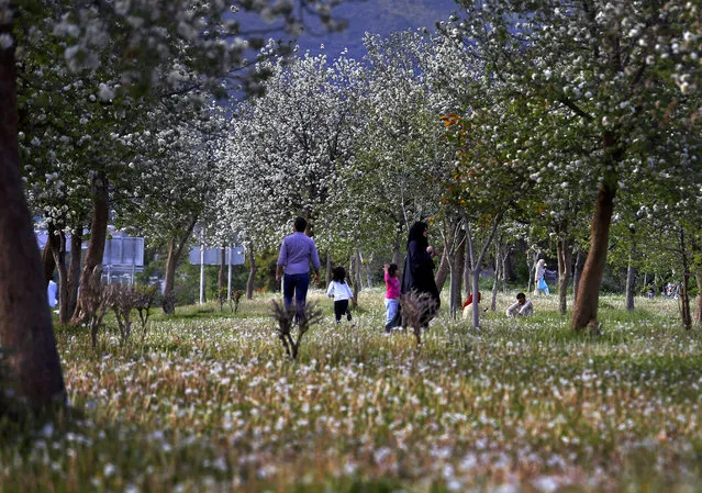 A family walks in a park amid tree ad flower blossoms with the arrival of spring in Islamabad, Pakistan, Sunday March 18, 2018. (Photo by Anjum Naveed/AP Photo)