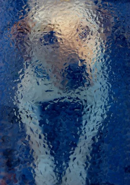 “Lily Through the Glass”. This abstract portrait of my yellow lab was incidental when she happened to appear under the glass table on my deck while I was attempting to shoot some flowers after a morning rain. When her face materialized under the droplets, I quickly shifted my focus from the irises to Lily, our young pet. The result was an impressionistic portrait of a dog who rarely sits still! Location: Turner, Maine, USA. (Photo and caption by Diane Mawhinney/National Geographic Traveler Photo Contest)