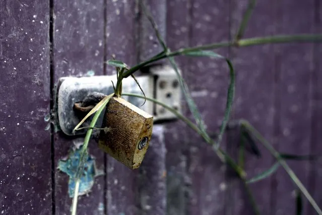 The door of a barn is secured with a weathered padlock in the village of Guru Kinayan, which was abandoned following the eruption of Mount Sinabung, in North Sumatra, Indonesia, November 13, 2015. (Photo by Binsar Bakkara/AP Photo)