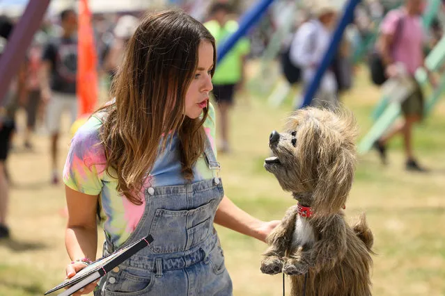 Children's television presenter Evie Pickerill records a piece to camera with puppet “Dodge T. Dog” in the interstage area on Day 3 of Glastonbury Festival 2023 on June 23, 2023 in Glastonbury, England. The Glastonbury Festival of Performing Arts sees musicians, performers and artists come together for three days of live entertainment. (Photo by Leon Neal/Getty Images)