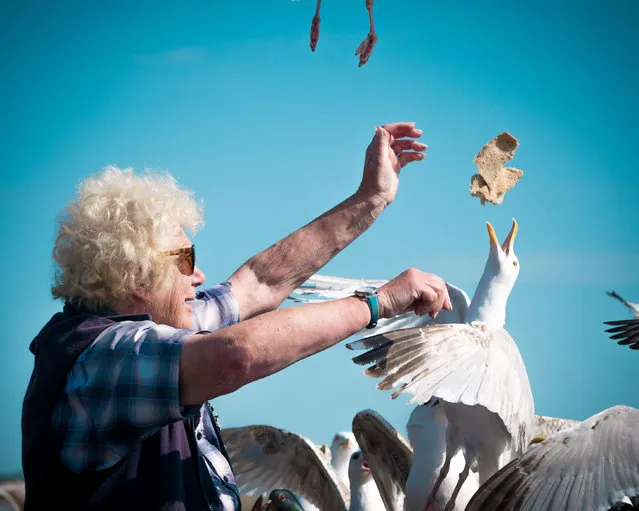 Winner. “The Bird Lady in Pembrokeshire, Wales, feeds the local birds every day in the same spot. I love birds, and to observe the relationship she has built with these feathery friends is a fantastic experience”. MICK RYAN, JUDGE: “This month’s clear winner: a lovely holiday snapshot that could be taken at any seaside resort by anyone. It is funny, action-packed and captures the moment. Photographing scavenging gulls is harder than you think, though, and it doesn’t matter if you get the odd leg or wing at the edge of your shot”. (Photo by Katy Bridgestock/The Guardian)