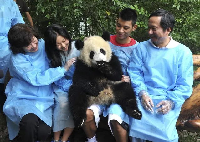 Houston Rockets basketball player Jeremy Lin (2nd R) holds a giant panda at Chengdu Research Base of Giant Panda Breeding in Sichuan province August 29, 2013. (Photo by Reuters/China Daily)