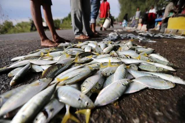 Fishermen sell fish on the street after fishing in Banda Aceh, Indonesia, 09 August 2023. The Coordinating Minister for the Economy stated that Indonesia's economic growth in the second quarter of 2023 revealed positive results, increasing by 5.17 percent on an annual basis, faster than market estimates of 4.93 percent, and after a 5.04 percent revised growth in the first quarter of 2023. (Photo by Hotli Simanjuntak/EPA)