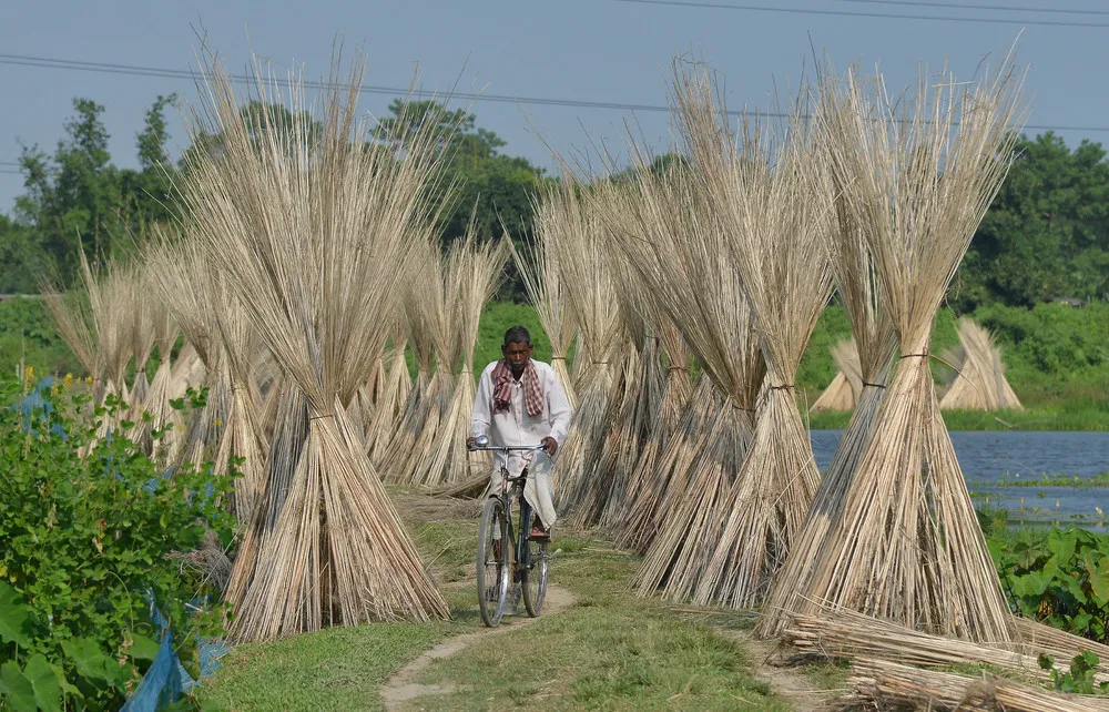 People in the Landscape