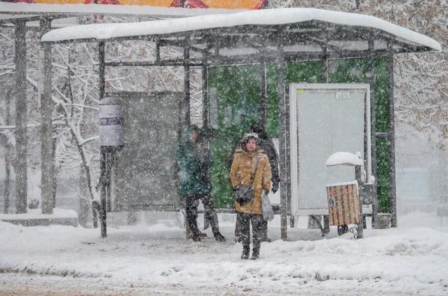 People wait for a transport at the bus station during heavy snowfall in downtown Chisinau, Moldova, 11 January 2019. (Photo by Dumitru Doru/EPA/EFE)