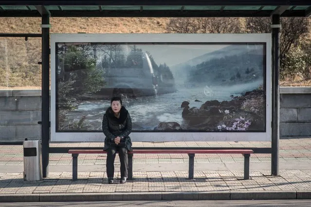 In this photo taken on December 2, 2016, commuters wait at a bus stop in Pyongyang. (Photo by Ed Jones/AFP Photo)